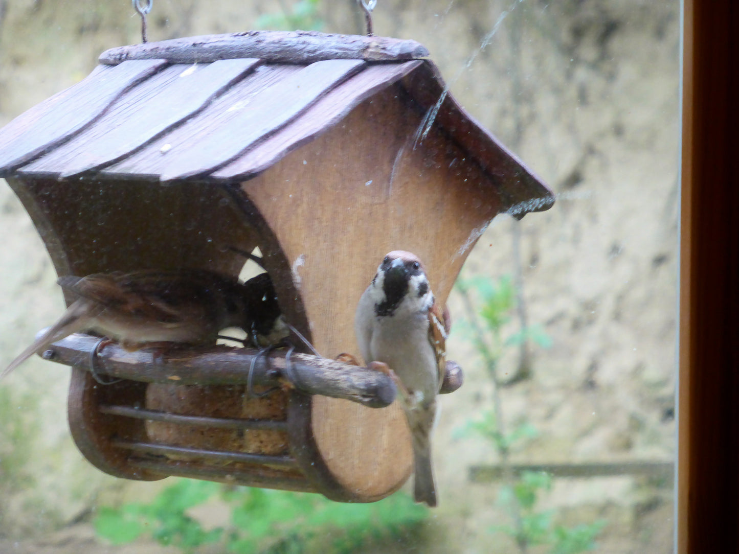 Vogelhäuschen Meisenknödelhalter für Knödel ohne Netz Vogelfutterhaus - BalkanwoodDesign Handmade