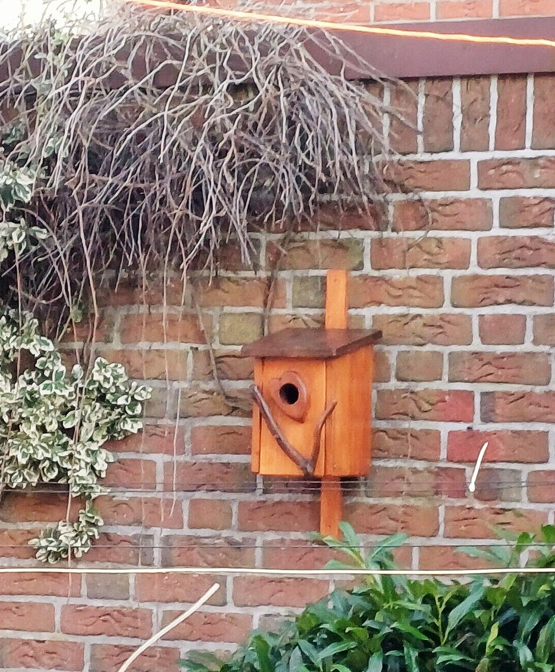 Vogelnistkasten Nistkasten für Stare und Kleiber Handarbeit Altholz Upcycling - BalkanwoodDesign Handmade