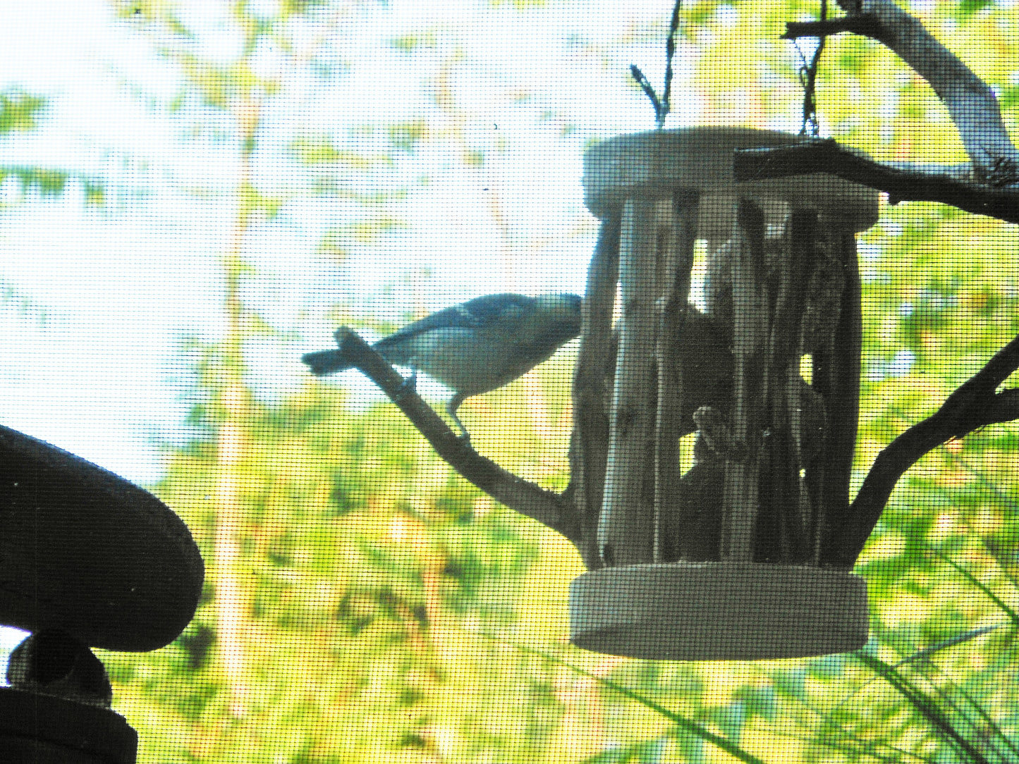Meisenknödelhalter für Knödel ohne Netz Vogelfutter Vogelfutterplatz Birdfeeder - BalkanwoodDesign Handmade