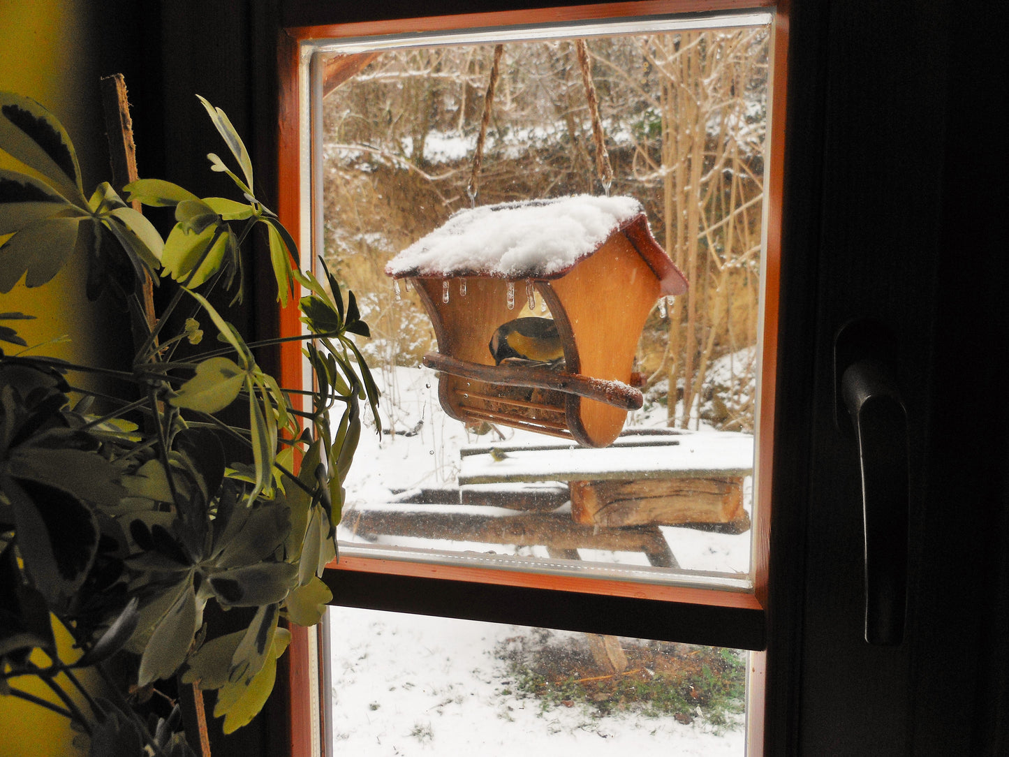Vogelhäuschen Meisenknödelhalter für Knödel ohne Netz Vogelfutterhaus - BalkanwoodDesign Handmade