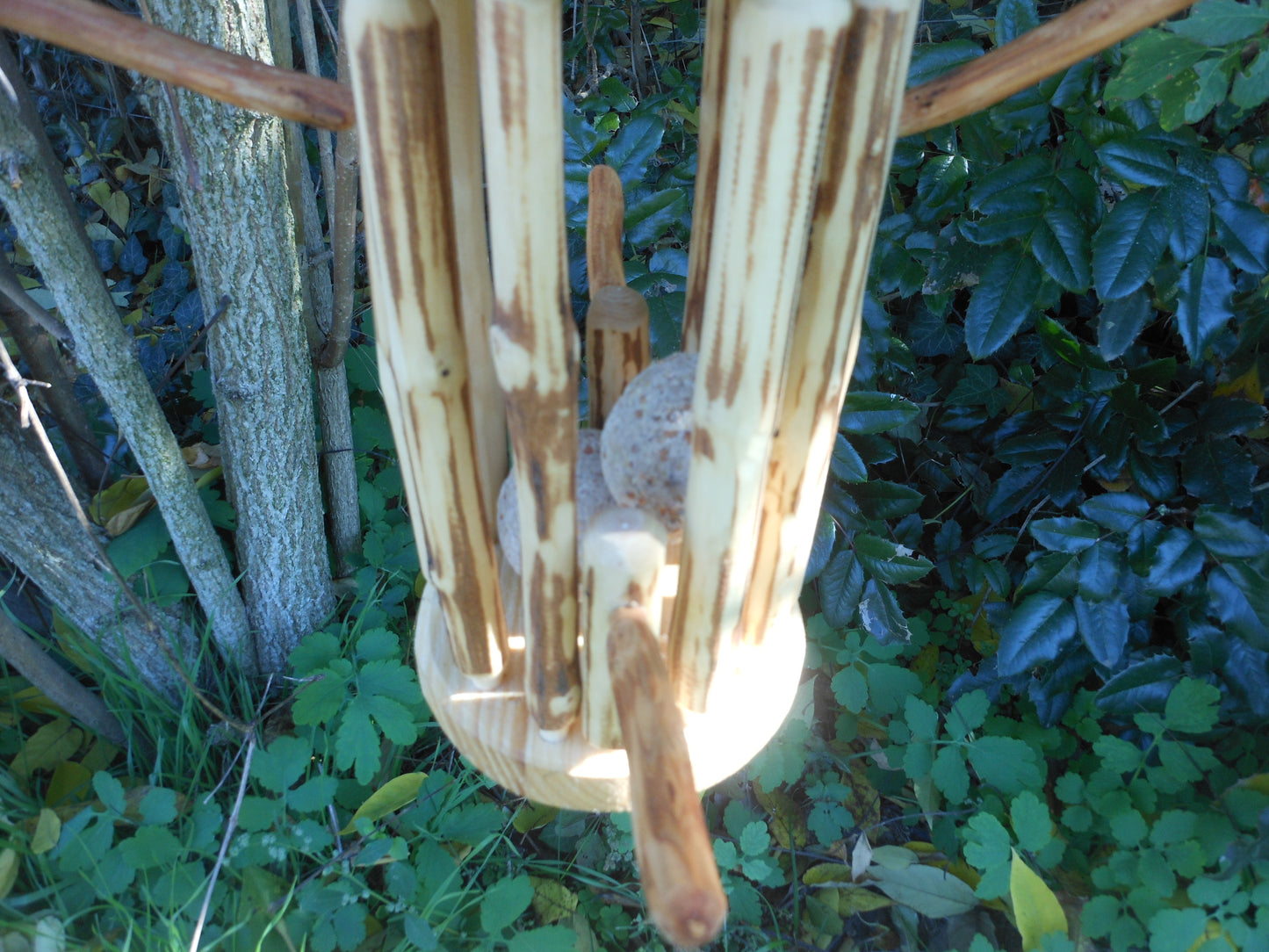 Meisenknödelhalter für Knödel ohne Netz XXL Tit dumpling holder for dumplings without net XXL - BalkanwoodDesign Handmade