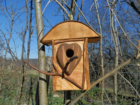 Vogelnistkasten  Nistkasten für Vögel Nestbox - BalkanwoodDesign Handmade