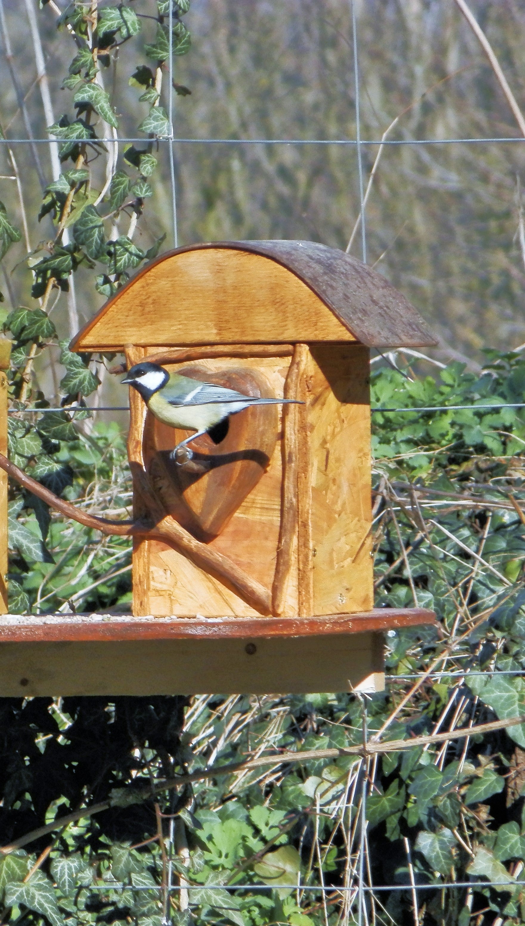 Vogelnistkasten  Nistkasten für Vögel Nestbox - BalkanwoodDesign Handmade