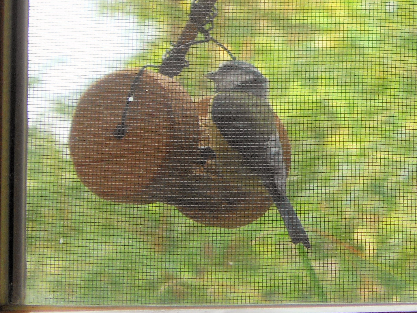 Meisenknödelhalter für Knödel ohne Netz zum aufhängen - BalkanwoodDesign Handmade