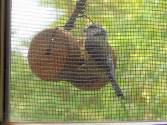 Meisenknödelhalter für Knödel ohne Netz zum aufhängen - BalkanwoodDesign Handmade