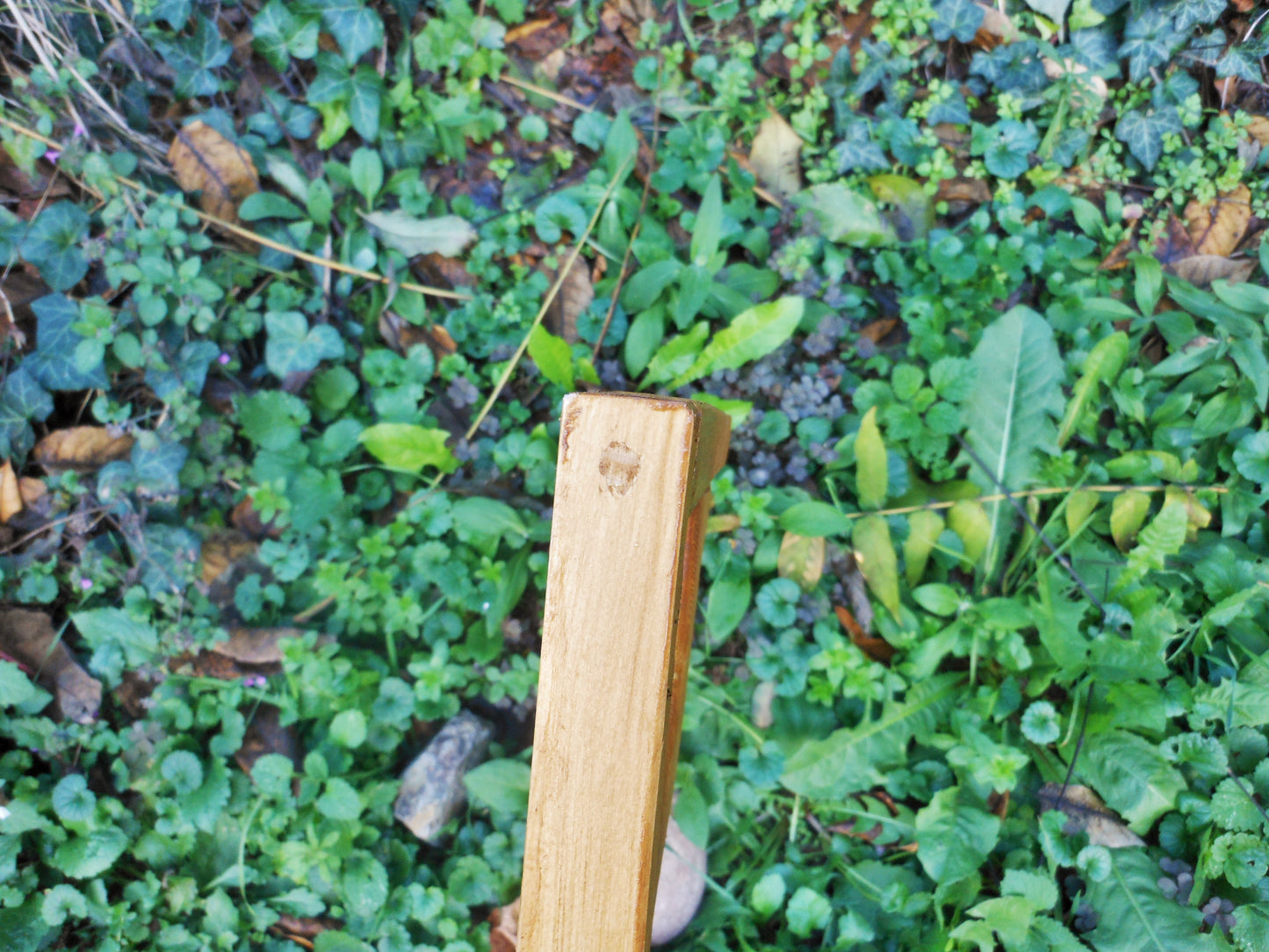 Vogelhaus Regal Stütze Vogelhäuschenhalter Wandhalterung Fensterhalterung - BalkanwoodDesign Handmade