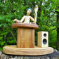 DJ Figur