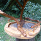 Vogelhaus Naturform mit grünem Dach