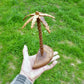 Palme aus Holz