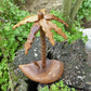 Palme aus Holz