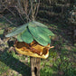 Vogelfutterhaus mit grünem Dach und Meisenknödelhalter - BalkanwoodDesign Handmade