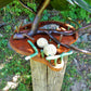 Vogelfutterhaus mit grünem Dach und Meisenknödelhalter - BalkanwoodDesign Handmade