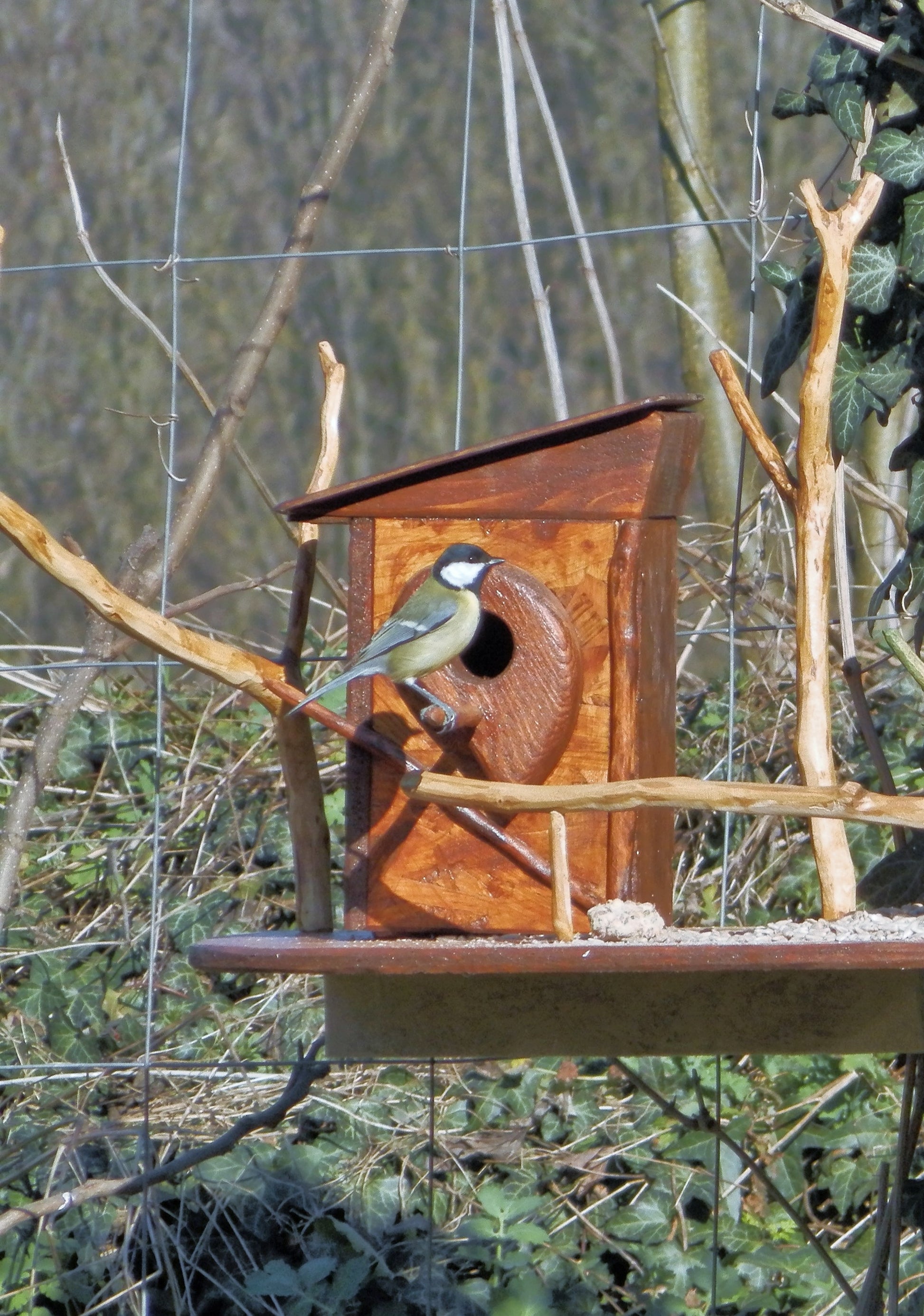Vogelnistkasten  Nistkasten für Vögel Nestbox - BalkanwoodDesign Handmade