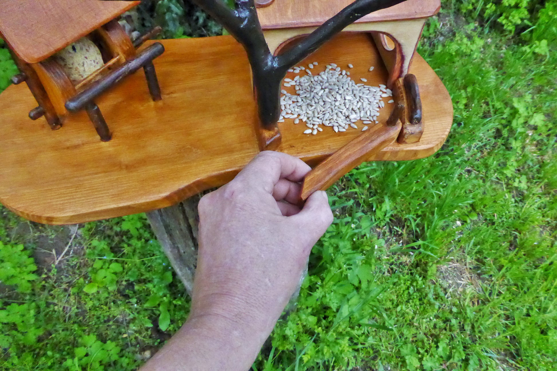Vogelhaus mit Meisenknödelhalter  Bird house with fat ball holder - BalkanwoodDesign Handmade